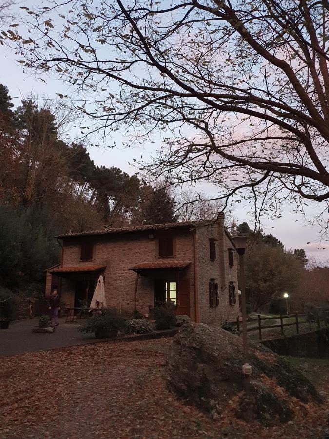 Pietra D'Acqua B&B In The Woods Buti Exterior foto